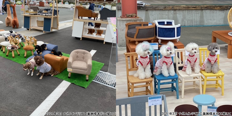 ペット インテリア撮影会 大川家具商業会